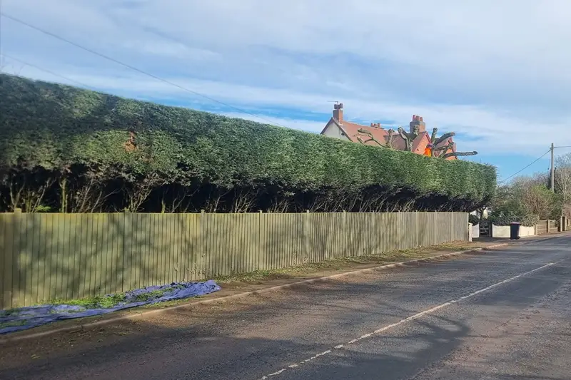 hedge cutting claverdon