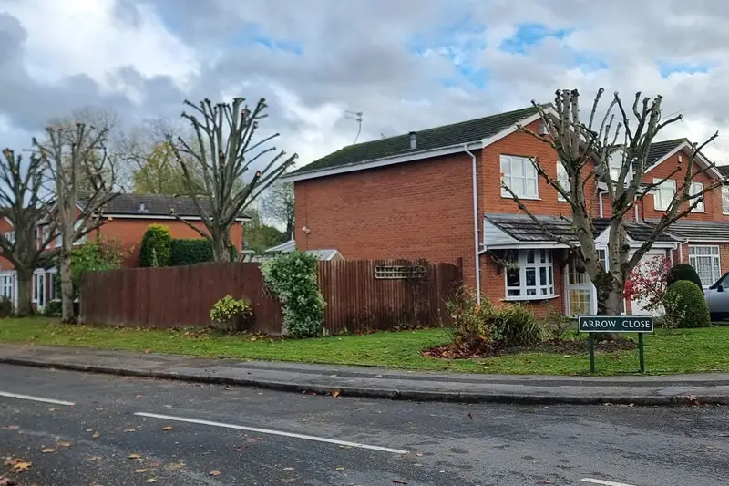 tree pollarding