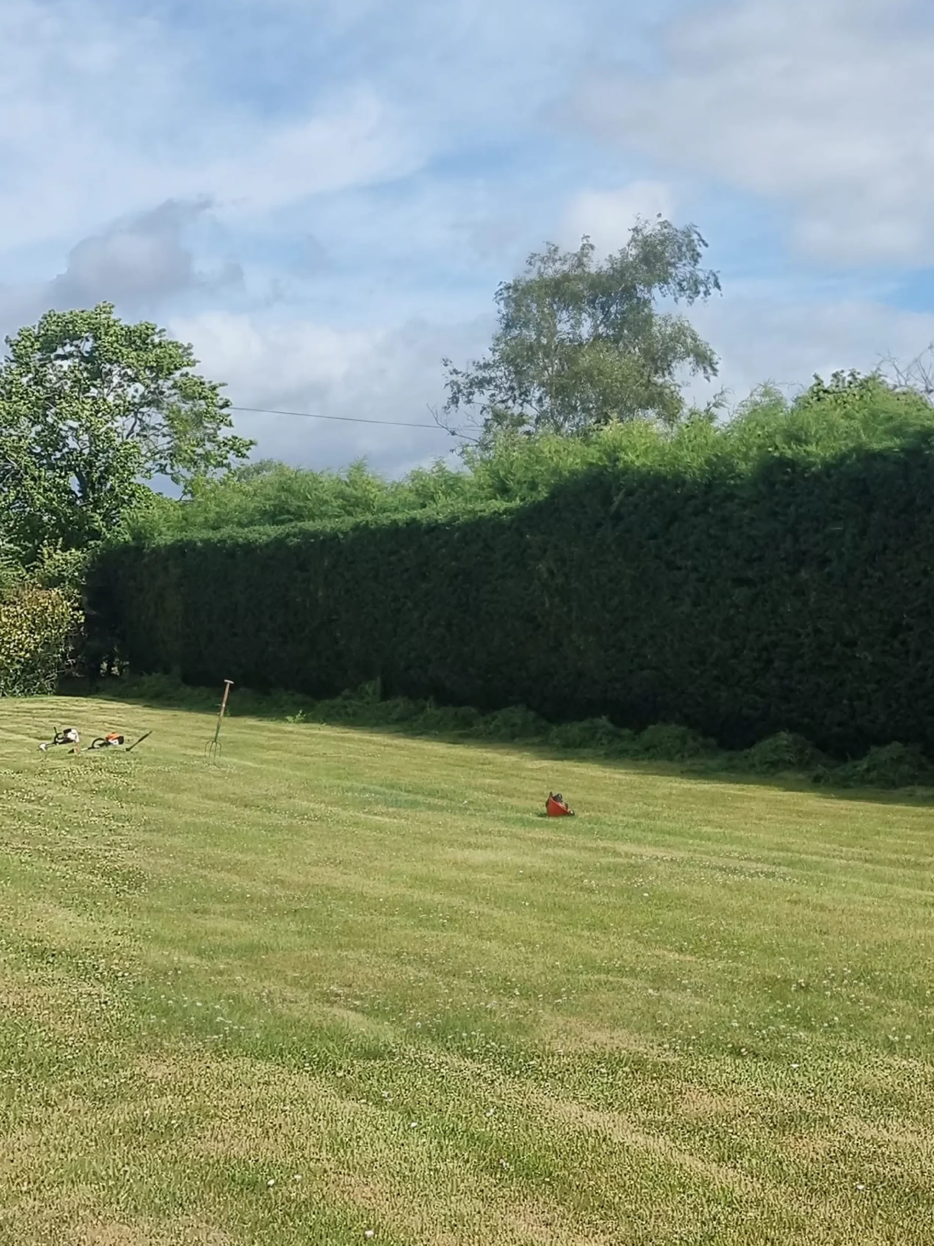 Hedge Cutting