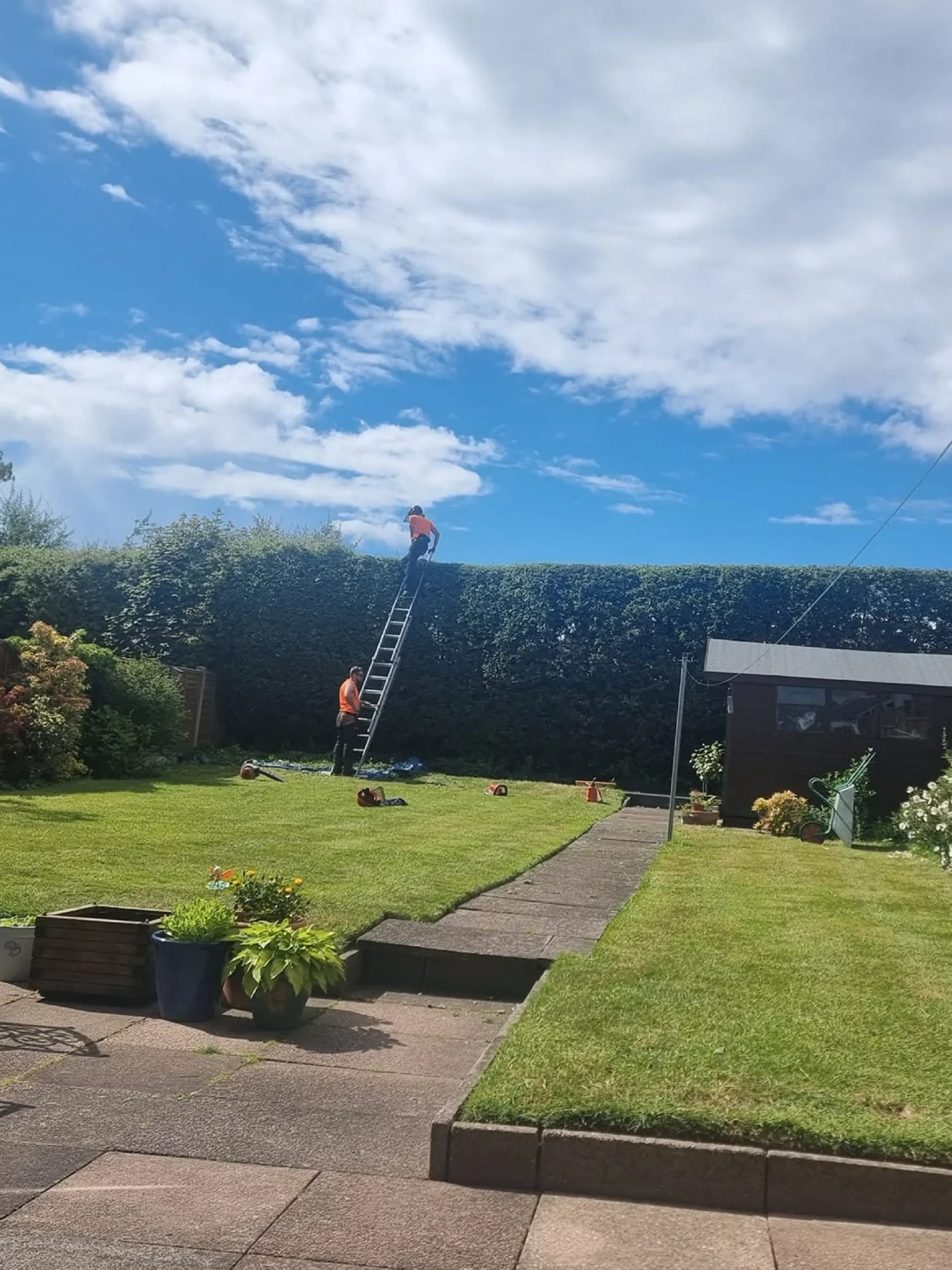Hedge Cutting