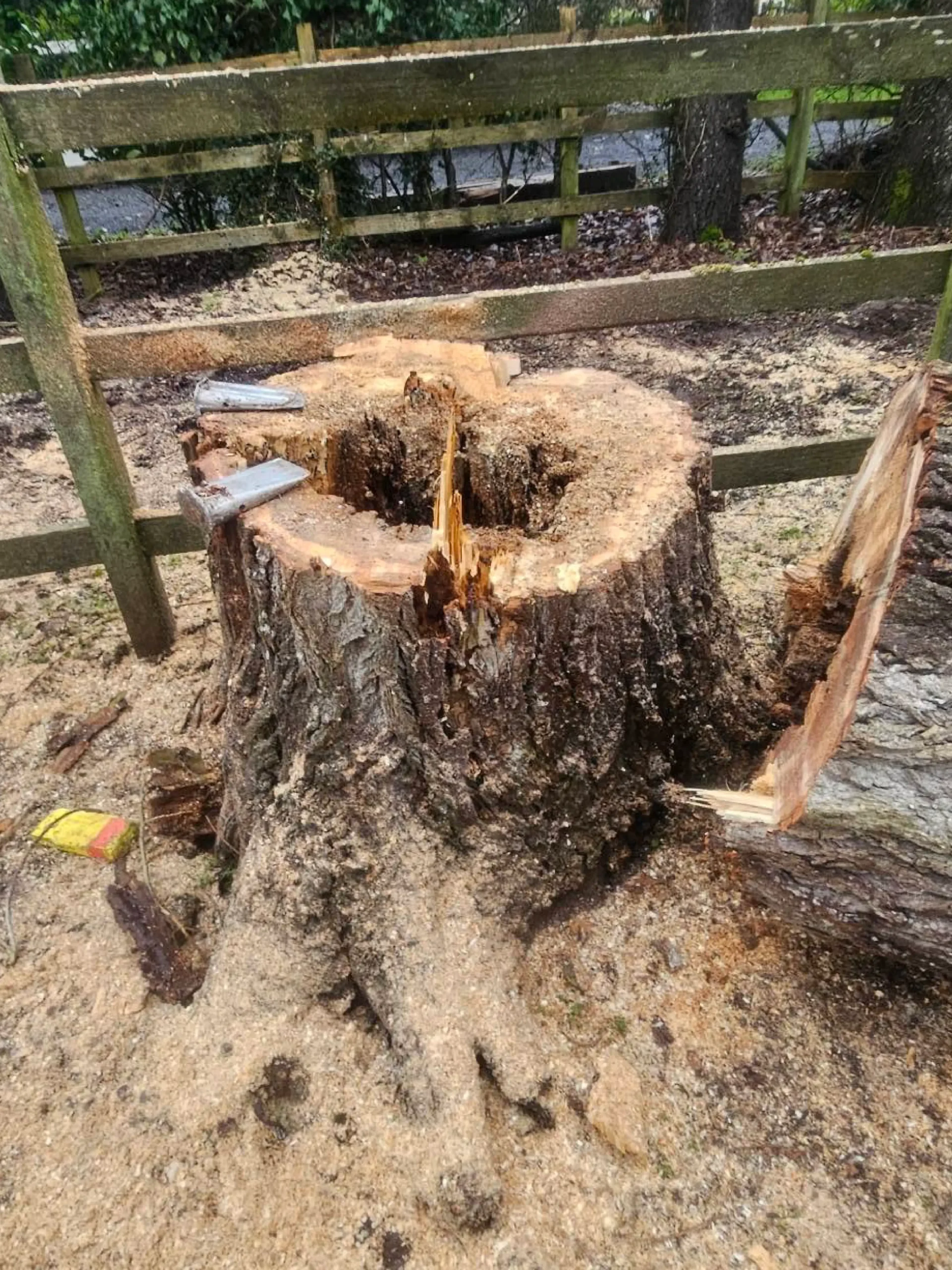 Stump Grinding